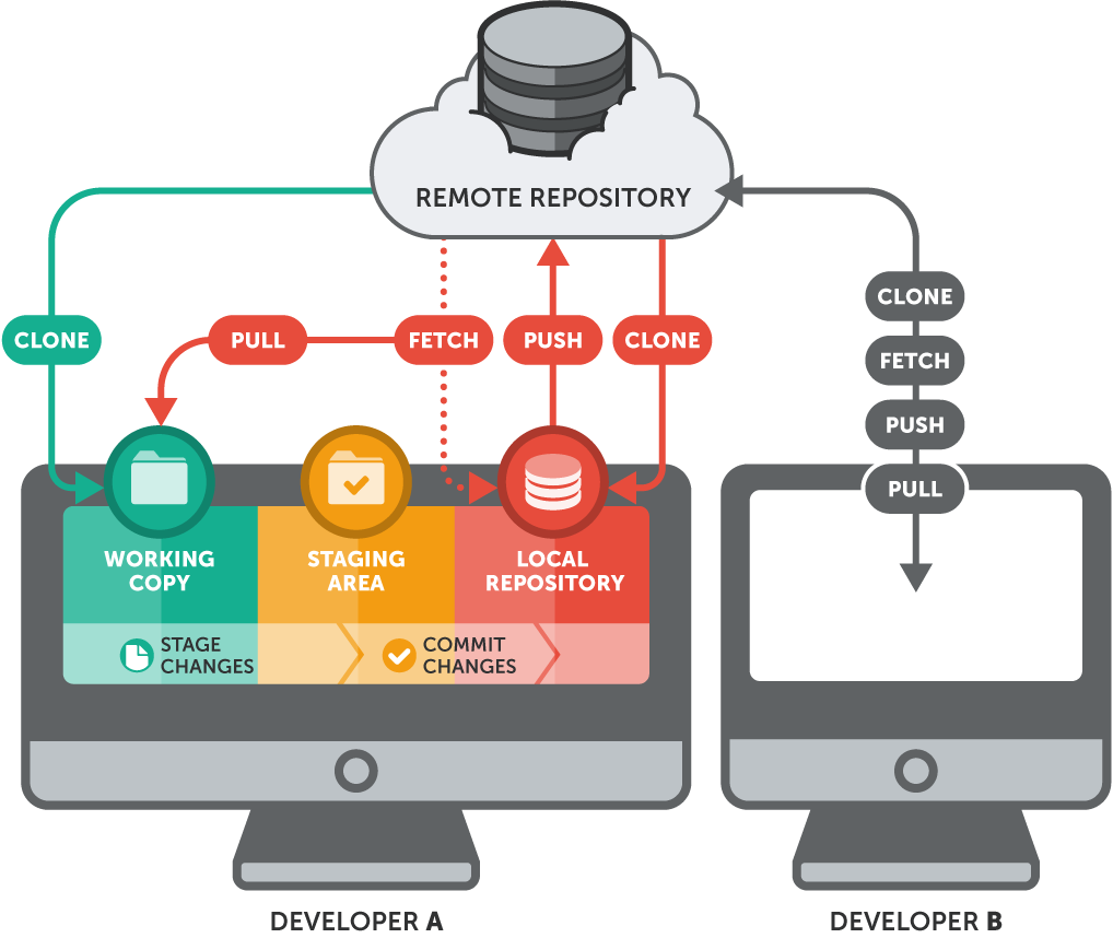 Basic Git Workflow